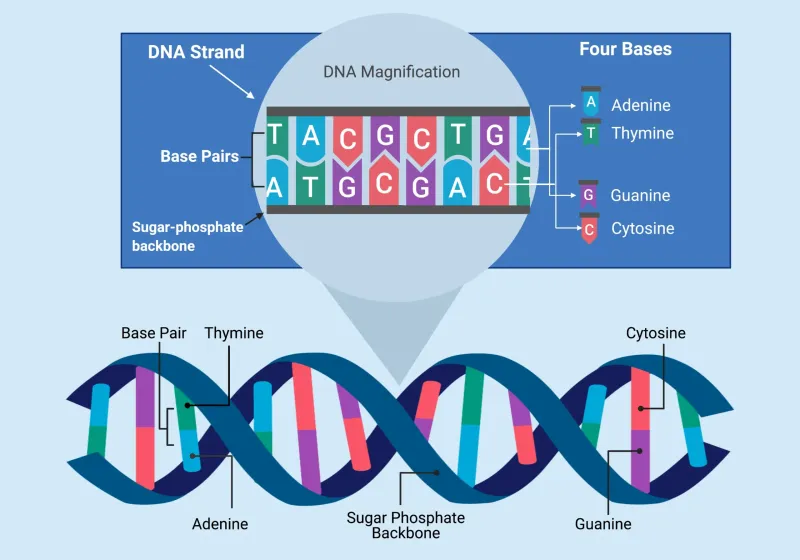 We Are Not the First to Feel This: Epigenetics and the Ancestral Inheritance of Emotional Life