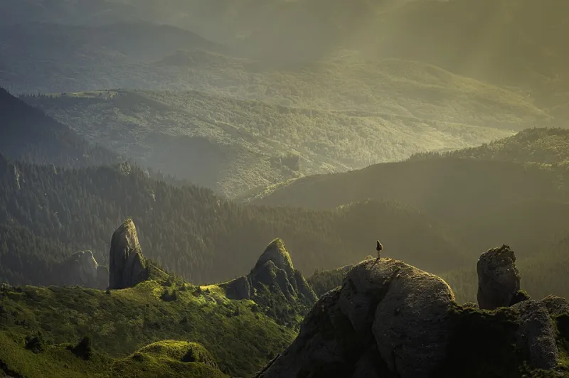 Small Self, Vast World: How the Emotion of Awe Literally Reshapes the Brain